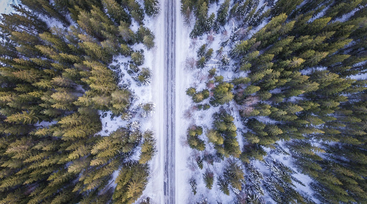 穿越繁华与冰雪，上海到长春，一段交织历史与未来的旅程