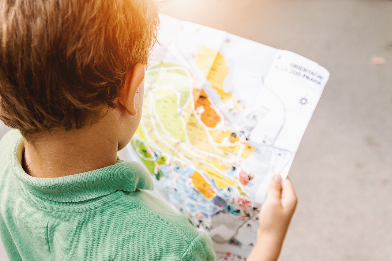 揭秘小学成绩查询，家长和孩子们的宝藏地图