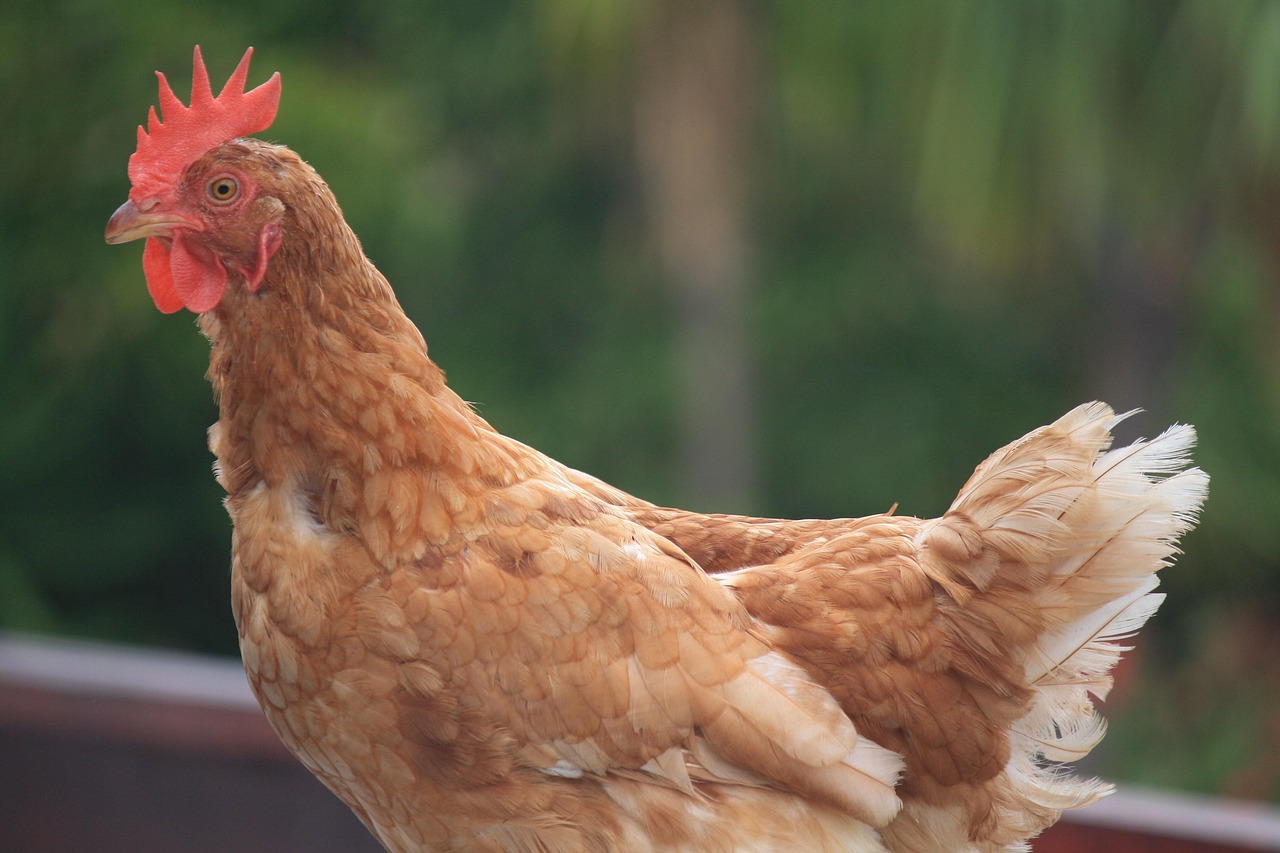 湖南疫情新动态，昨日新增本土确诊28例，我们如何应对？