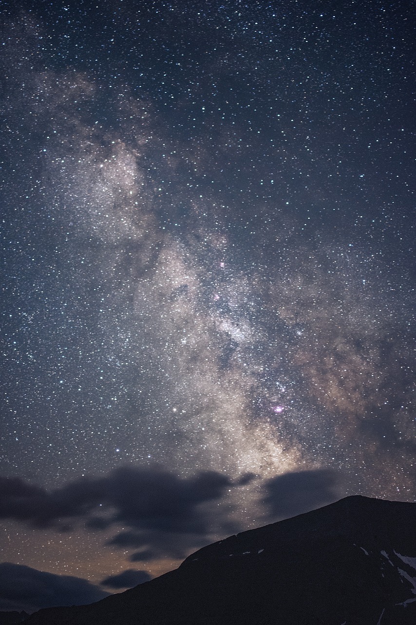 阿凡达，探索潘多拉星球的奥秘与启示
