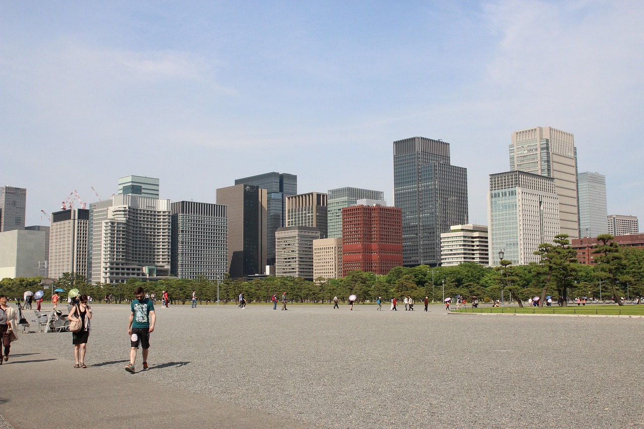 绿色上海，绿化市容的生态转型与城市美学