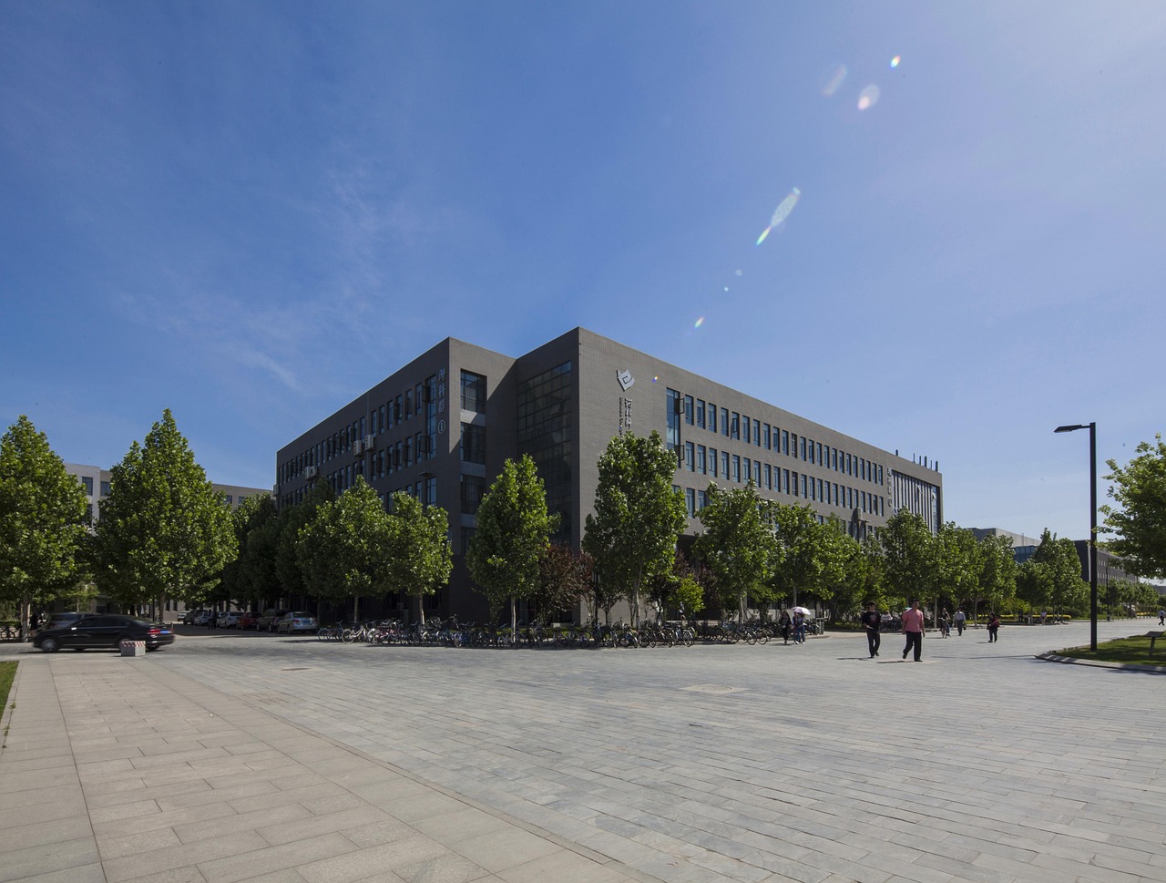 探索知识新天地，上海电信网上大学的独特魅力与学习指南