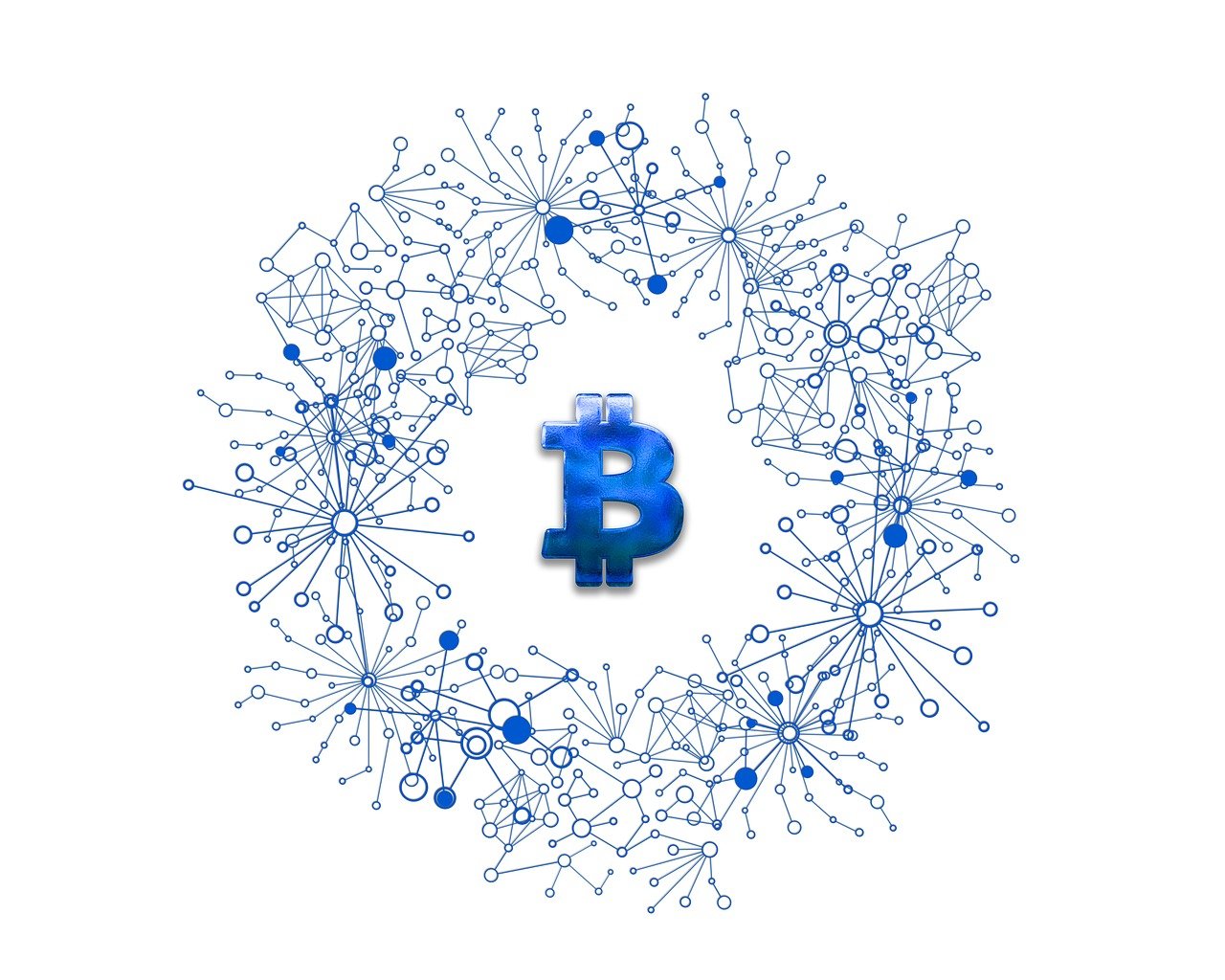 686发布，解锁数字背后的秘密